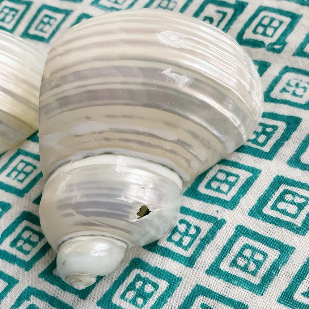 Vintage Shell Napkin Rings Set of 4 Coastal Beach Decor 1970s Seashell